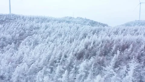 4K High Resolution Drone Capture of Winter Scenery and Frosted Woodlands Stock Footage 319608550