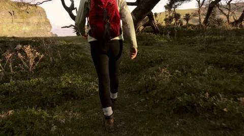 4k Hiker walking in coastal forest, during leisure activities on holiday, young Stock Footage
