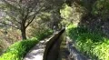 4k Hiking girl Levada nature hiking path water channel Madeira 4k or 4k+ Resolution