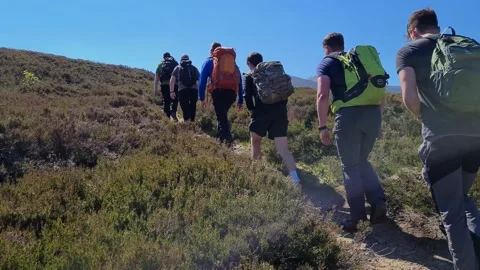 4K Hiking trail Stock Footage 163716227