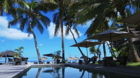 4K Holiday pool &amp; palm trees beach resort Video stock 57788465
