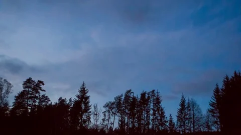 4k holy grail time-lapse of evening sky over forest Video stock 82284826