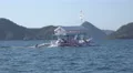 4k Honeymoon tourist boat traveling in Flores Sea 4k or 4k+ Resolution