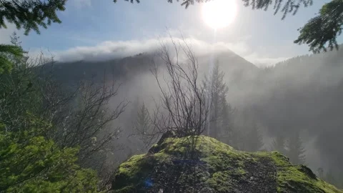 4K horizontal video with a slow pan from hiking trail on Elk Mountain in Oregon Stock Footage 325291608