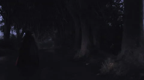 4k Horror Shot of an Evil Character with mask in Dark Hedges, N. Ireland Stock Footage 66317466