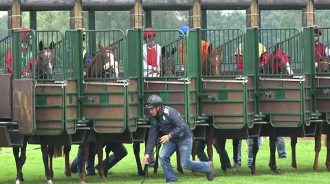 4k Horse Racing close up start scene Video stock 40239481