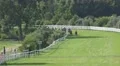 4k Horse Racing final run on last meters 4k or 4k+ Resolution