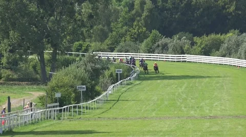 4k Horse Racing final run on last meters Stock Footage 40369483