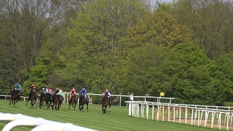 4k Horse racing final run jockeys passing by close up Stock Footage 77107652