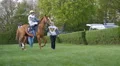 4k Horse Racing horses and jockeys guided to the course 4k or 4k+ Resolution