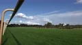 4k Horse Racing low angle closeup race passing by 4k or 4k+ Resolution