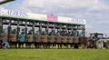 4k Horse Racing low angle shot race start scene slow motion 4k or 4k+ Resolution