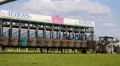 4k Horse Racing low angle jockeys horses enter start boxes 4k or 4k+ Resolution