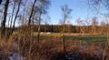 4k Horses on marshland meadow in winter with trees and fence in foreground 4k or 4k+ Resolution