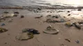 4k Human made pollution and plastic trash at Indonesia beach 4k or 4k+ Resolution