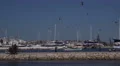 4k Hungry sea gulls flying harbor Lagos Portugal 4k or 4k+ Resolution