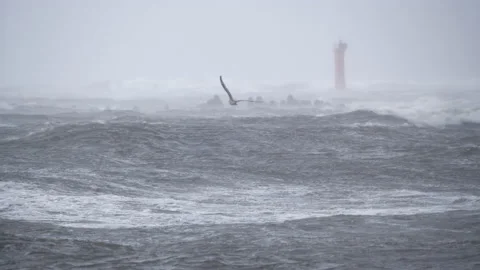 4K - Hurricane on the seashore Stock-Footage 142218221
