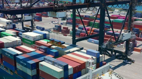 4K hyper lapse crane unloading container from ship, cargo import business, Miami Vidéo 149988341