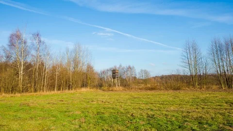 4k hyper lapse with old raised hide standing on meadow near forest.  Stock Footage 99061340