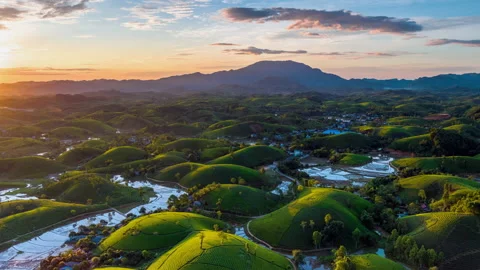 4K Hyperlapse aerial view  flying over Long Coc tea hill, Vietnam Stock Footage 201418896