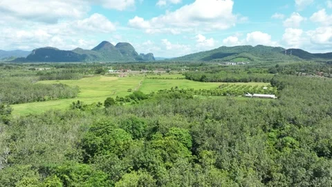 4k hyperlapse rural area in perlis Stock Footage 308917801