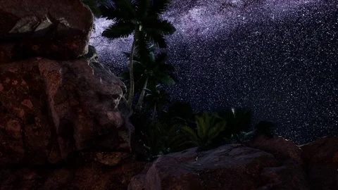 4K hyperlapse star trails over sandstone canyon walls and palms Stock Footage 85020251