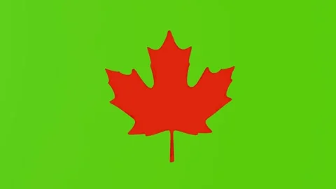 4k icon of autumn leaf orange color isolated on green background Stock Footage 289529910
