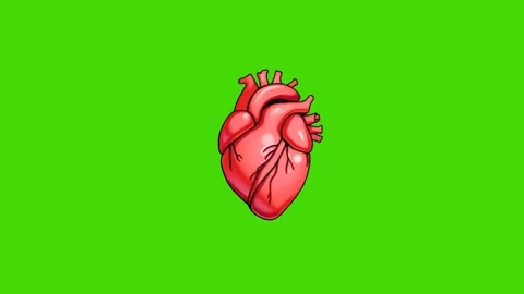 4k icon of a beating human heart isolated on a green screen Stock Footage 289523714