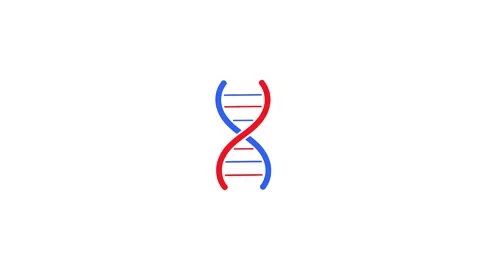 4k icon of the DNA code in blue and red isolated on a white background Stock Footage 287873983