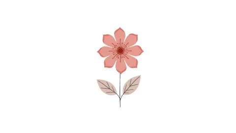 4k icon of flower isolated on white background Stock Footage 289523456