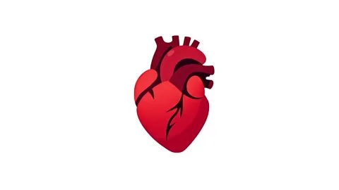 The 4K icon of the human heart beats in isolation on a white background. Stock Footage 287874033