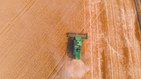 4K impressive flight over a working combine harvesting tons of ripe barley Stock Footage 126654783