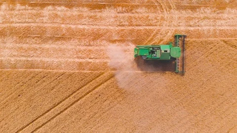 4K impressive flight over a working combine harvesting tons of ripe barley Stock Footage 126654937