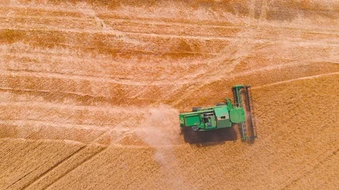 4K impressive flight over a working combine harvesting tons of ripe barley Stock Footage 126655078