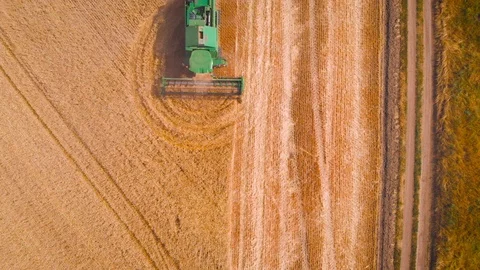 4K impressive flight over a working combine harvesting tons of ripe barley Vídeo Stock 126655401