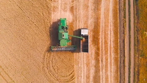 4K impressive flight over a working combine harvesting tons of ripe barley Stock Footage 126655582
