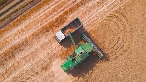 4K impressive flight over a working combine harvesting tons of ripe barley Stock Footage 126655662