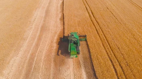 4K impressive flight over a working combine harvesting tons of ripe barley Stock Footage 126655801