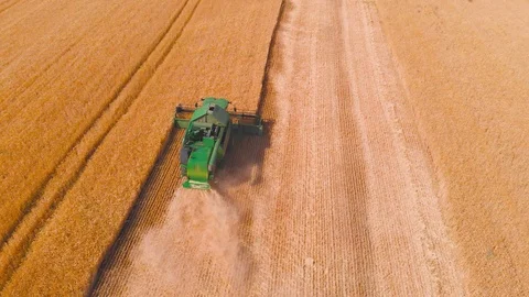 4K impressive flight over a working combine harvesting tons of ripe barley Stock Footage 126655860