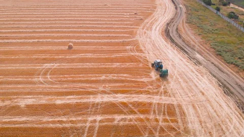 4K impressive flight over a working combine harvesting tons of ripe barley Stock Footage 126656165