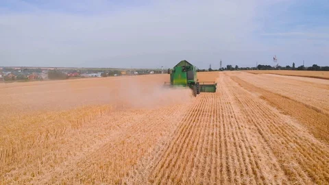 4K impressive flight over a working combine harvesting tons of ripe barley Stock Footage 126656451