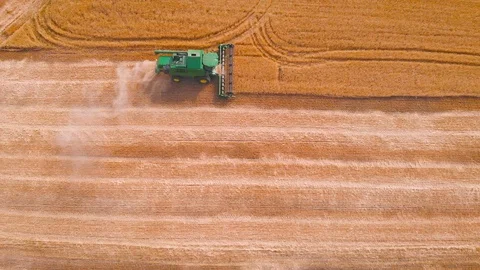 4K impressive flight over a working combine harvesting tons of ripe barley Stock Footage 126656946