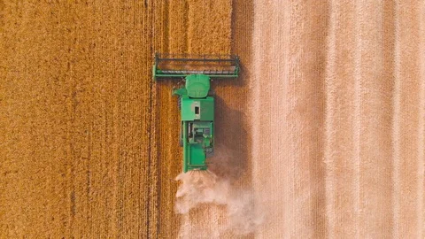 4K impressive flight over a working combine harvesting tons of ripe barley Stock Footage 126657025
