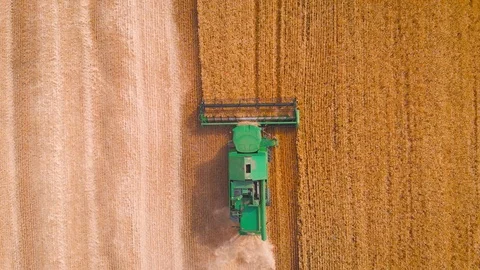 4K impressive flight over a working combine harvesting tons of ripe barley Stock Footage 126657096