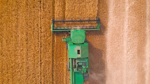 4K impressive flight over a working combine harvesting tons of ripe barley Stock Footage 126657212