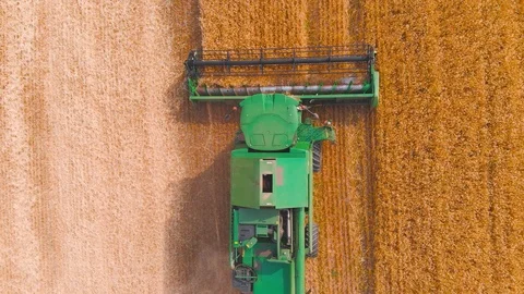 4K impressive flight over a working combine harvesting tons of ripe barley Stock Footage 126657284