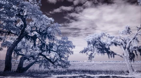 4k infrared time lapse of clouds over water Stock Footage 46991533