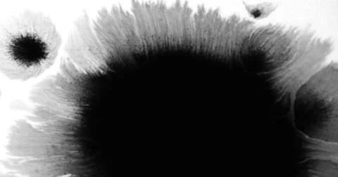 4k ink bloom Vidéo 50819506