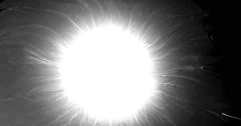 4k ink bloom Vidéo 50860361