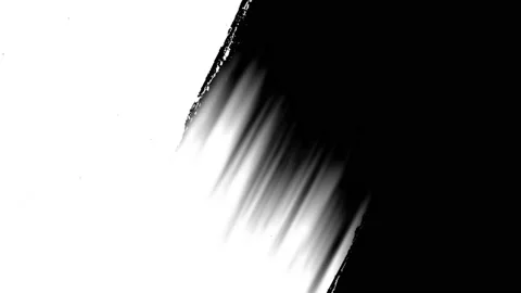 4K ink paint white brush stroke transition animation. More elements in our portf Stock Footage 203946558